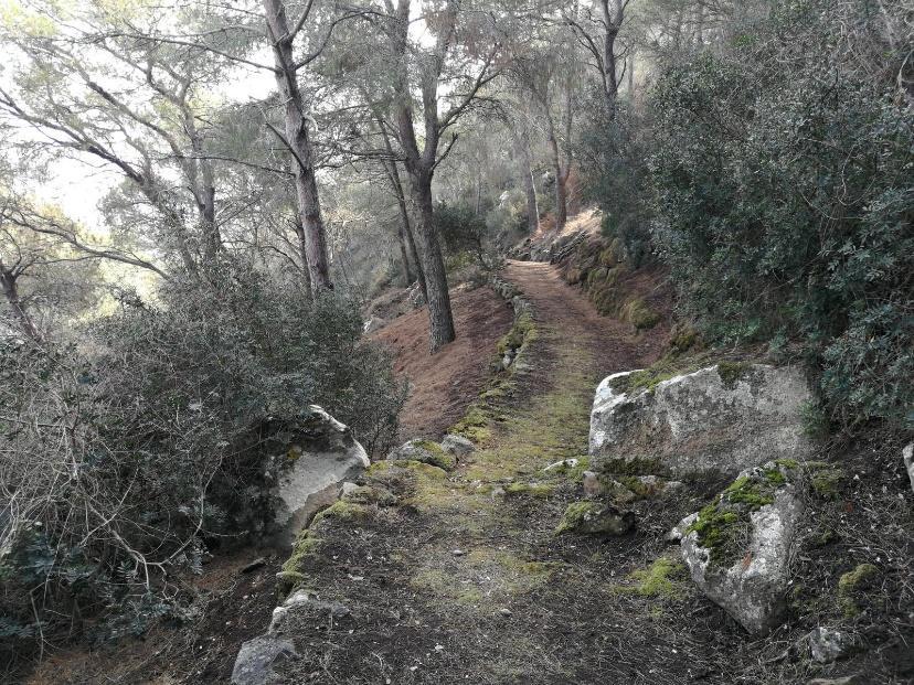 Itinerario del Bosco – Esplorando la Riserva naturale orientata